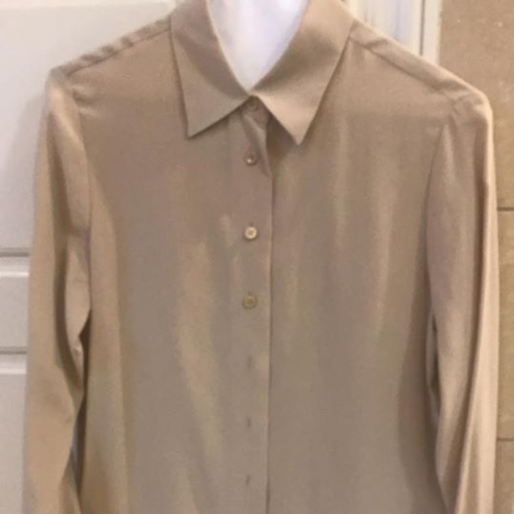 Pure Silk Top